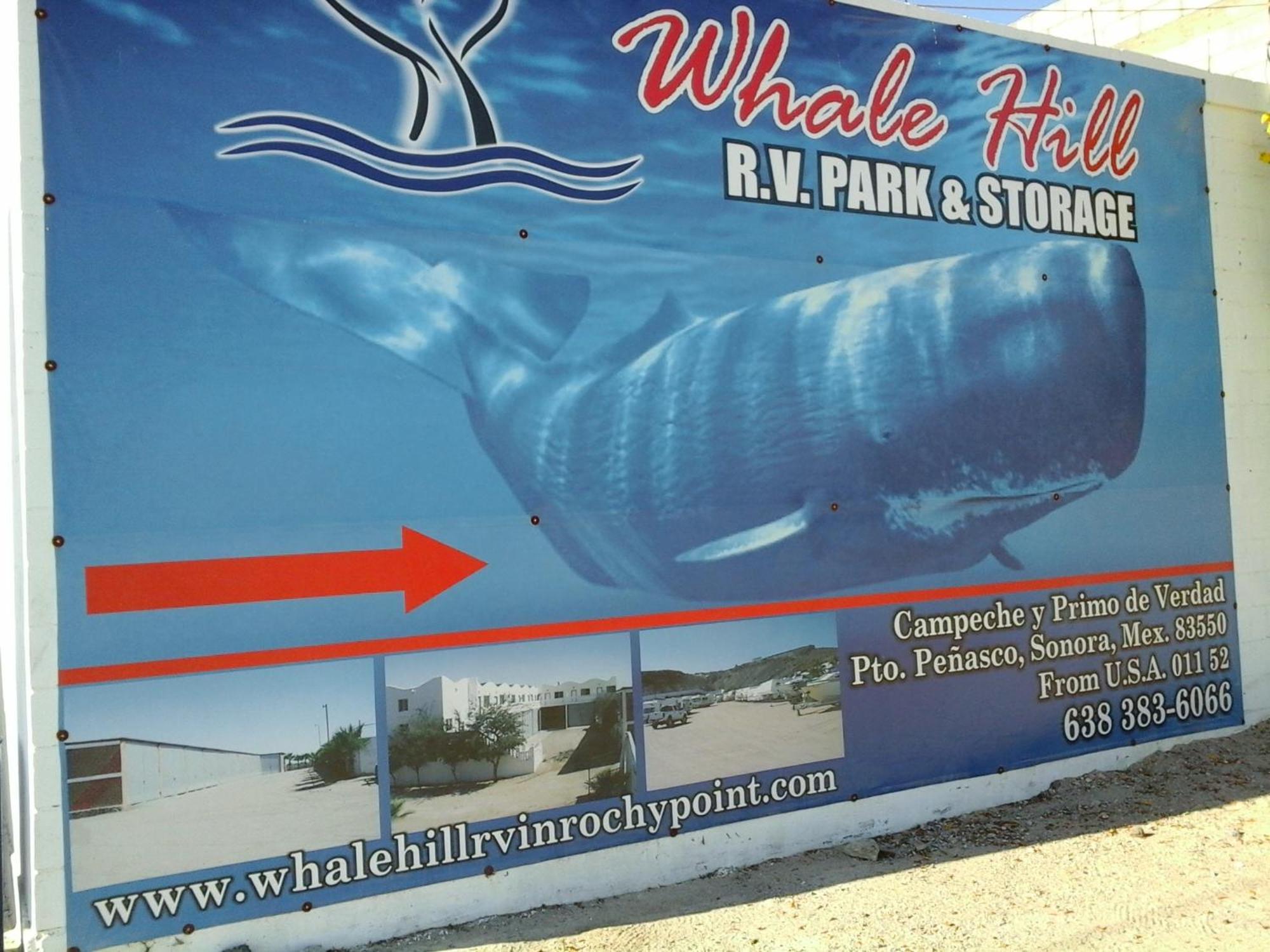 الشقق الفندقية Puerto Peñascoفي  Whale Hill الغرفة الصورة